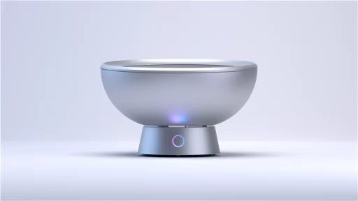 Freshbowl Silver
